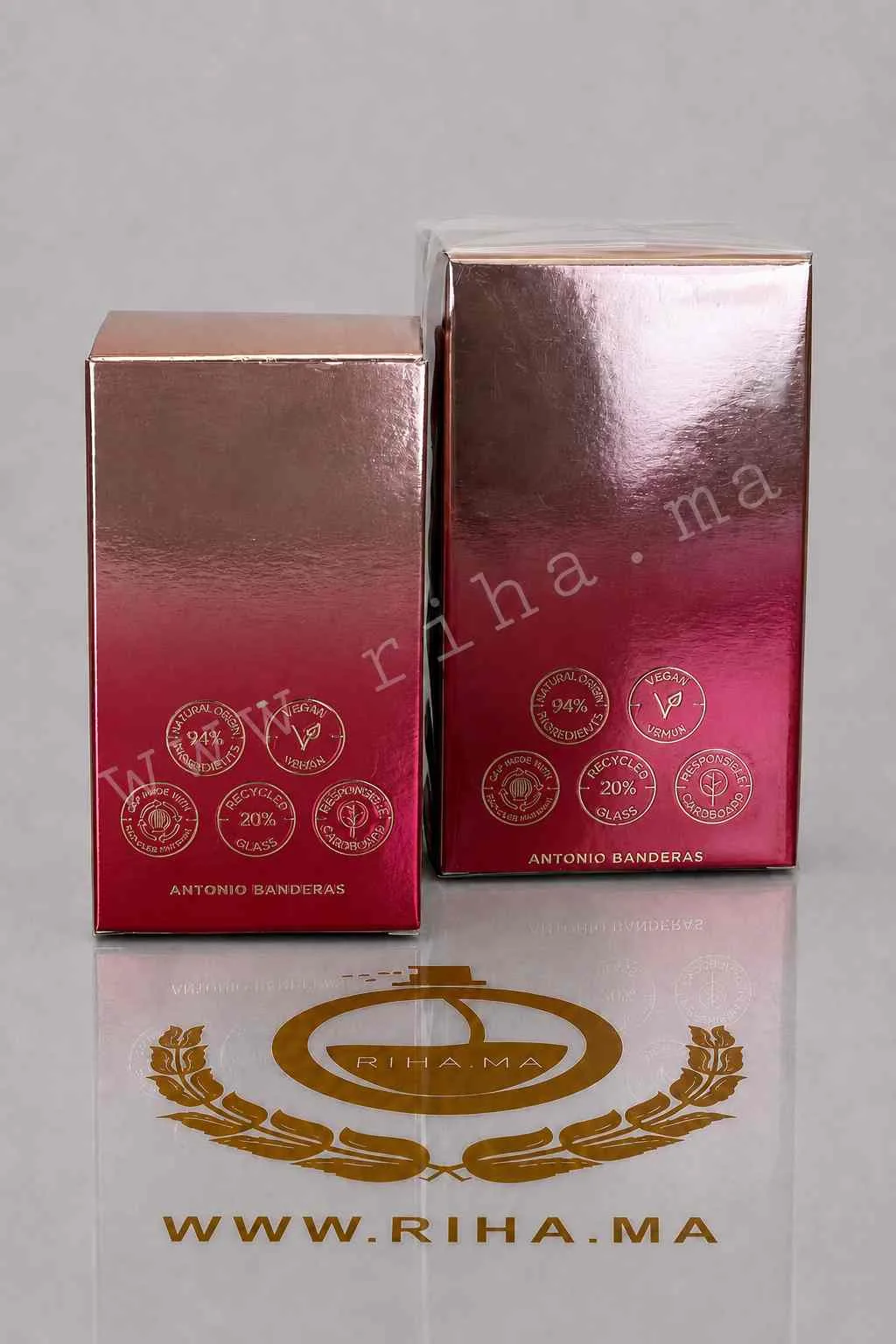 The Icon Splendid - Antonio Banderas Eau De Parfum Pour Femme 50ml ,100ml — photo 2 Flacon de The Icon Splendid Antonio Banderas parfum femme sur fond blanc — vue 2